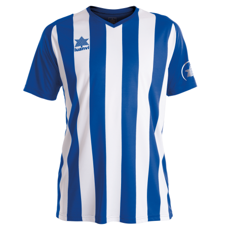 Luanvi - 2023 Soccer shirtBLue/white